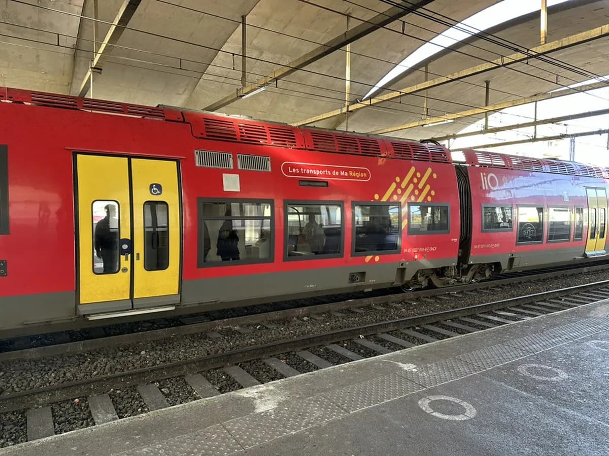 Avignon Public Transport Guide: How to Get Around Like a Local