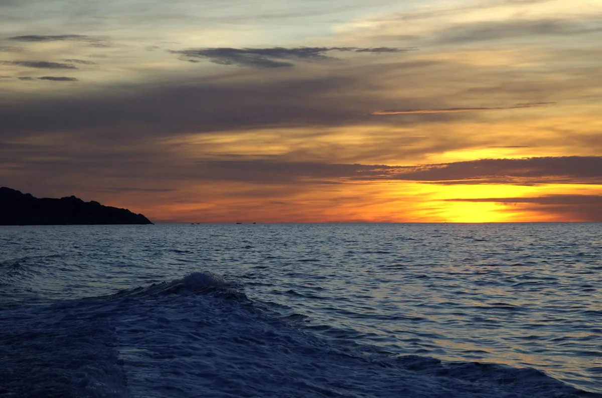 Frioul Islands Ferry From Marseille: 8 Things to Know