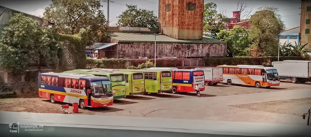 Puerto de la Cruz Public Transport: 6 Key Things to Know