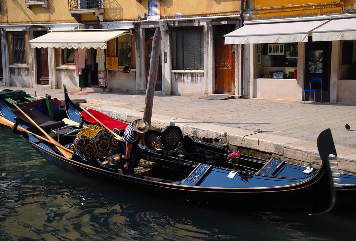 Treviso Public Transport: 7 Essential Tips for Travelers