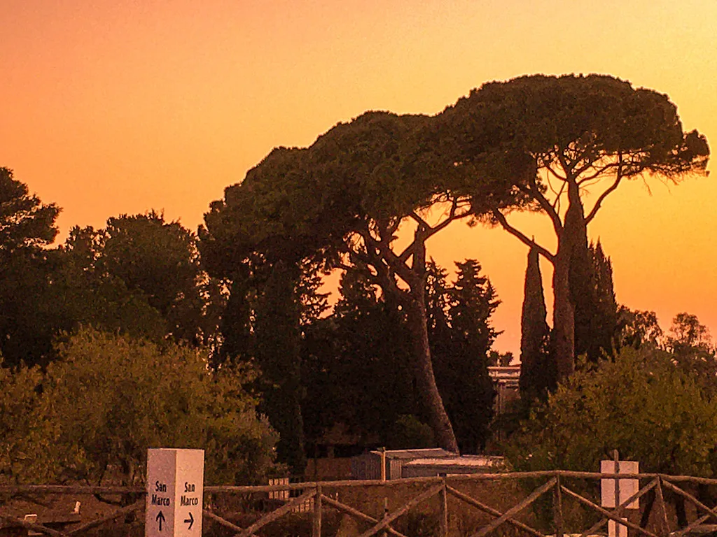 The temples of Agrigento glowing in golden-hour light, the rewarding payoff of a well-timed late-afternoon parking arrival