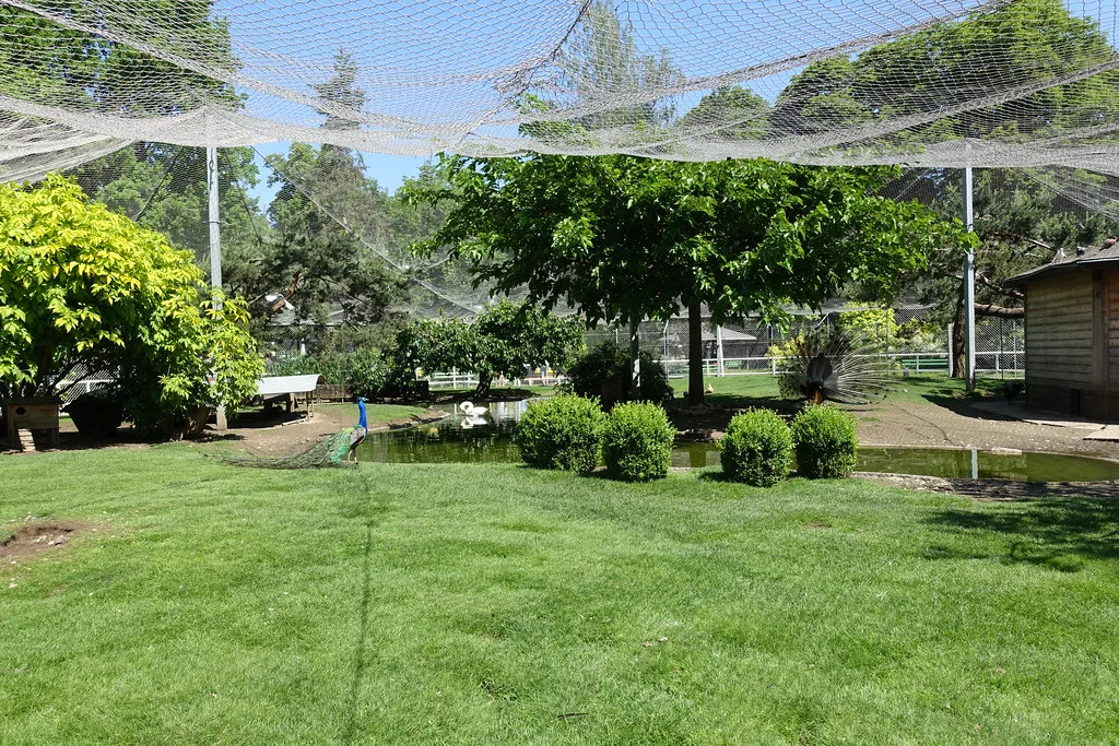 A leafy lakeside garden park in Annecy near the ferry terminal