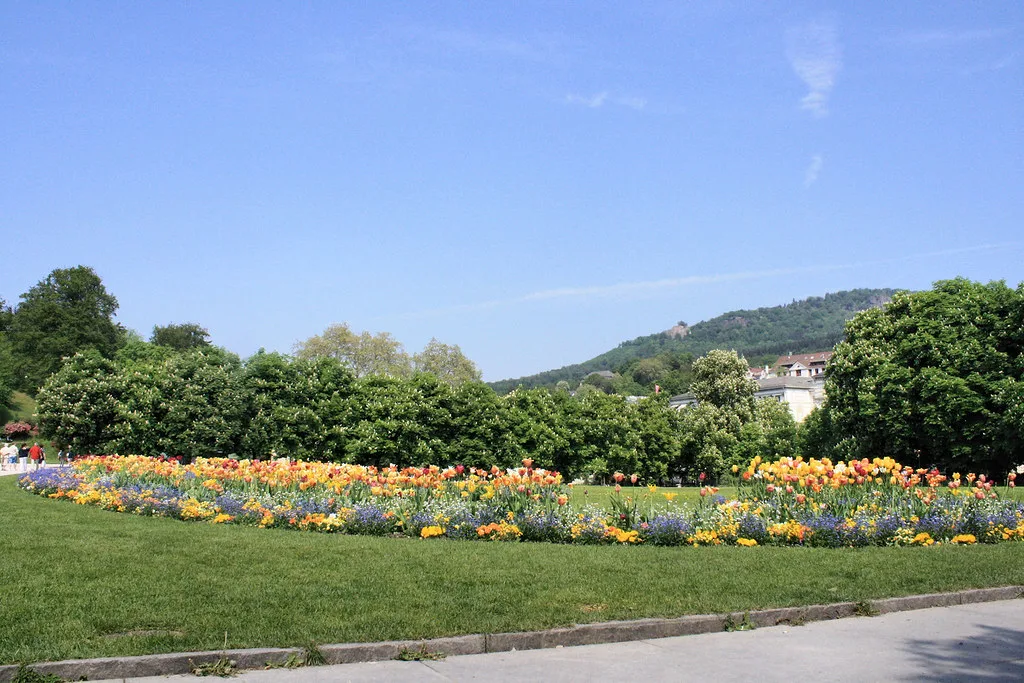 The tree-lined Lichtentaler Allee parkway in Baden-Baden, a popular route for cyclists and walkers