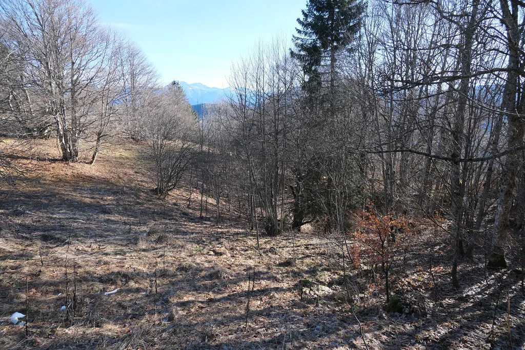 Alpine scenery at the Savoie Grand Revard plateau above Chambéry, reachable by Synchro Montagne shuttle