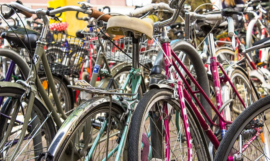 Rows of parked bicycles lining a street in Freiburg, Germany's cycling capital