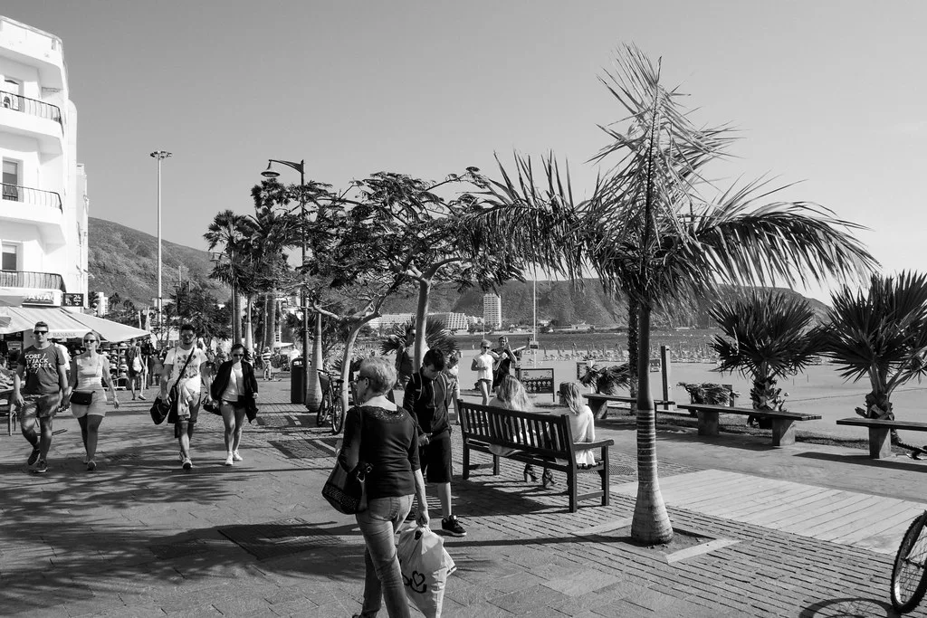 Seafront promenade lined with palm trees in Los Cristianos, Tenerife