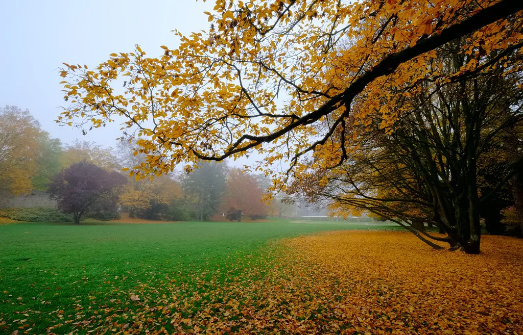 A tree-lined garden in Trier in autumn, an accessible green space reachable by city bus