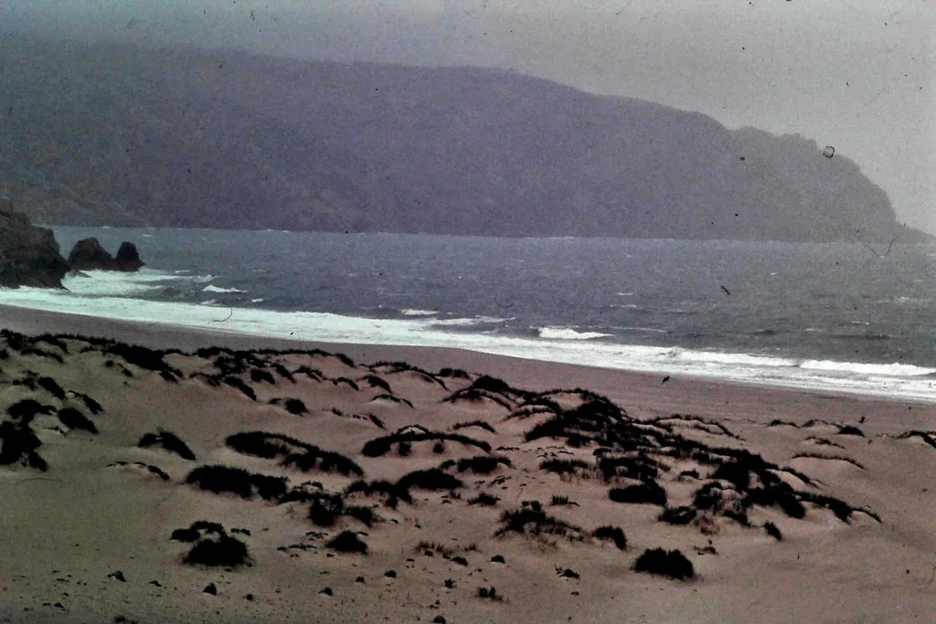 White-sand beach and dunes on the Troia Peninsula, a short walk from the marina pier