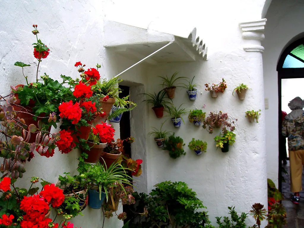 The white hilltop village of Vejer de la Frontera perched on a steep ridge in Cádiz, Andalusia