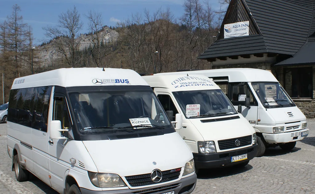 Private white minibuses lined up at a Zakopane departure point, the workhorses of the local transport network